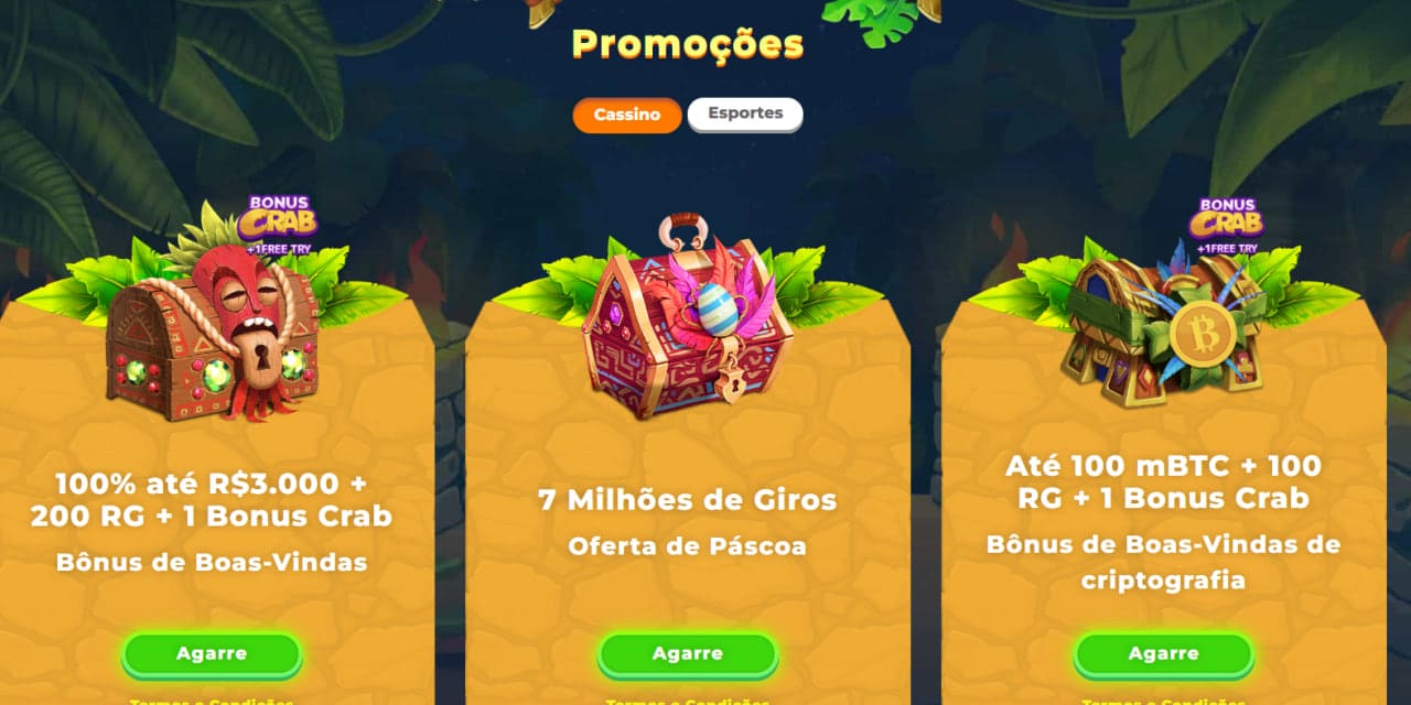 7133bet com