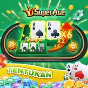 6z top