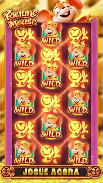 55jogar login