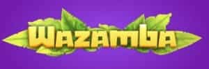 Www.blaze.com